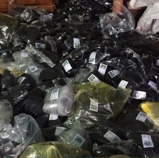 2019 Lưới bẫy chim cu 100m