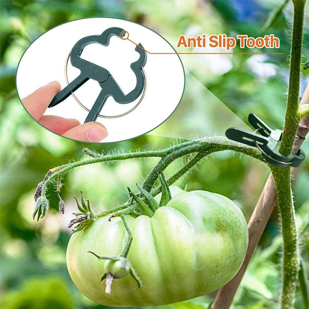 Dụng Cụ Kẹp Cố Định Cành Cây Bằng Nhựa Tiện Dụng