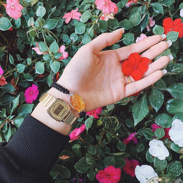 Đồng hồ dây thép nữ C A S I O LA670 chính hãng