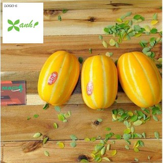 Hạt giống cây Dưa lê vàng Hàn Quốc (10 hạt)