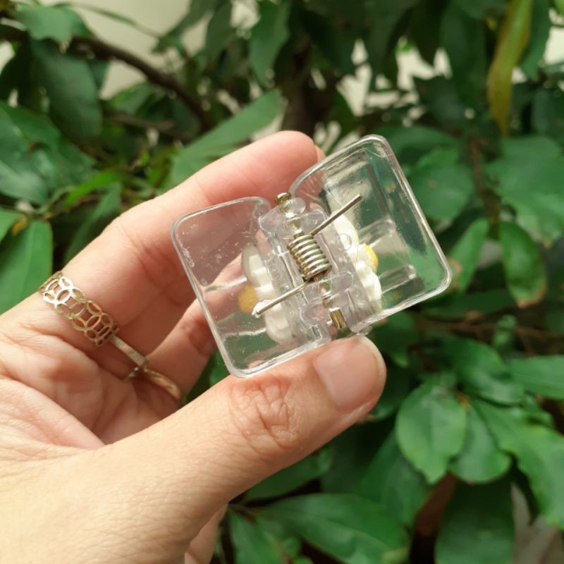 Kẹp tóc 5 răng trong suốt đính hoa cúc hoạ mi siêu xinh