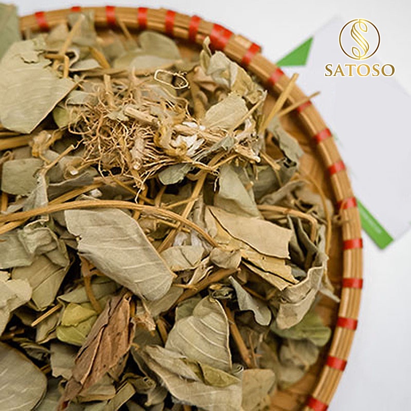 Kim tiền thảo thượng hạng tốt cho thận SATOSO 1kg SA48