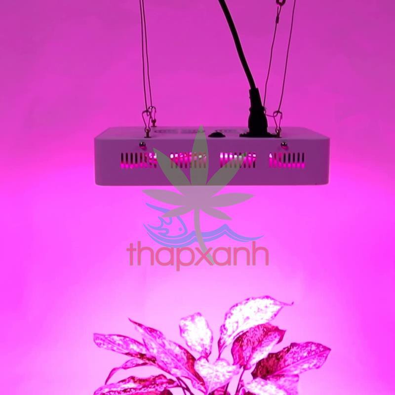 Đèn Led trồng cây, đèn trồng cây trong nhà, led grow light (GL-300W)