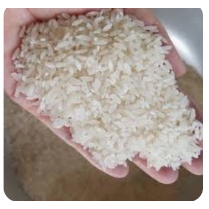 Gạo BC Thái Bình 10kg