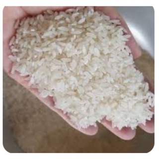 Gạo bc thái bình 10kg