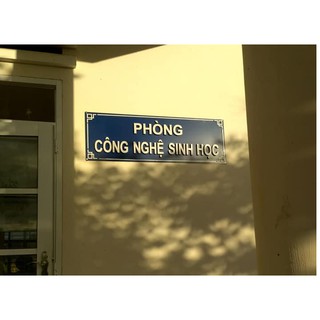 Lan Kiếm Phan Trí gieo hạt bịch > 25 cây
