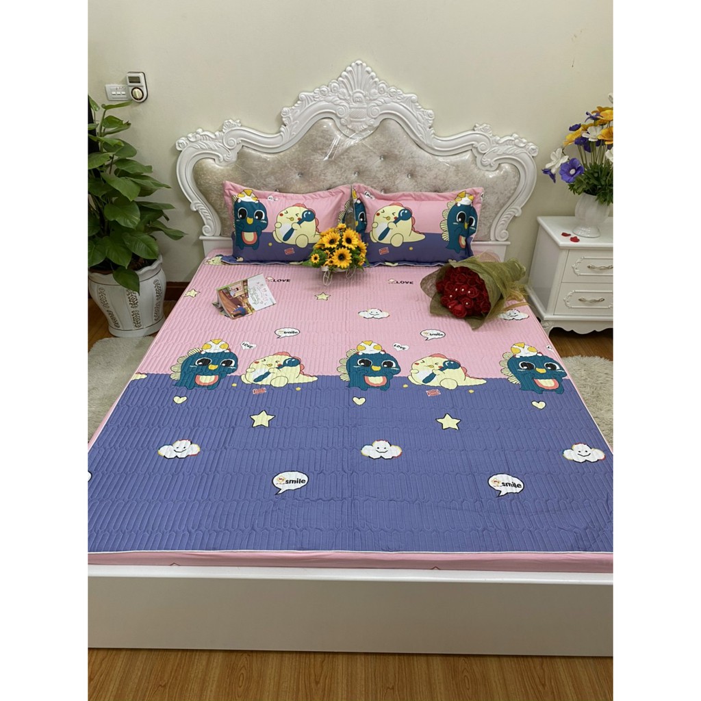 Bộ ga chun trần bông cotton Hàn Quốc cao cấp