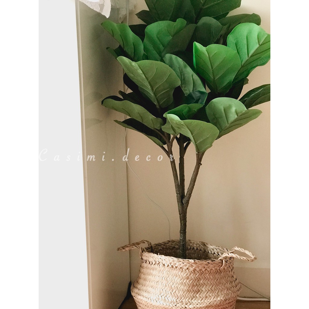 Giỏ cói hoa giỏ trái cây đan bằng lá bàng bụng tròn có quai xinh xắn trang trí Casimi Decor