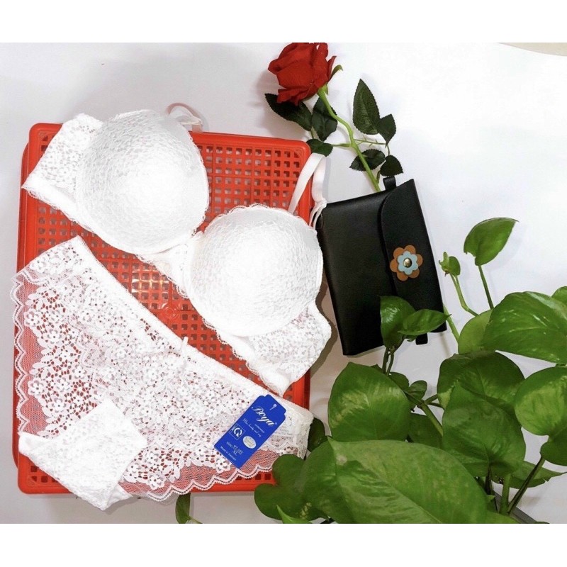 Set đồ lót ren boya #Q14-081 nâng ngực | BigBuy360 - bigbuy360.vn