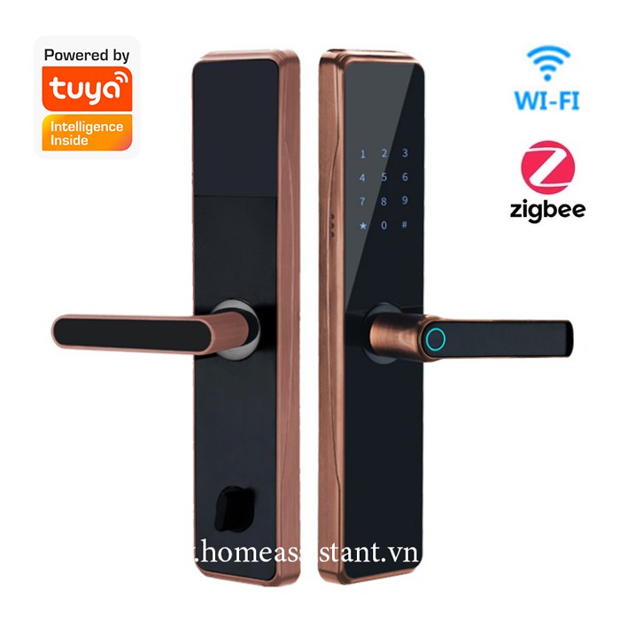 Khóa Cửa Thông Minh Wifi Zigbee Tuya DL03