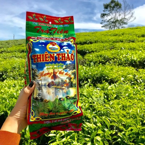 Trà sâm Dứa Thiên Thảo hương vị trà tiên – Giúp thanh nhiệt, mát gan, đẹp da