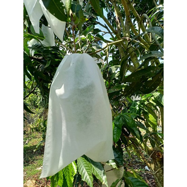 Túi giấy bao xoài  độ bền cao 20x30cm