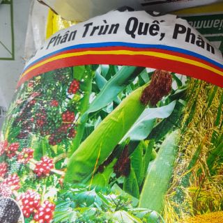 Phân trùn quế