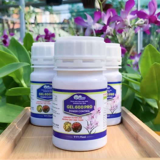 GEL 600 PRO DINH DƯỠNG CHO PHONG LAN