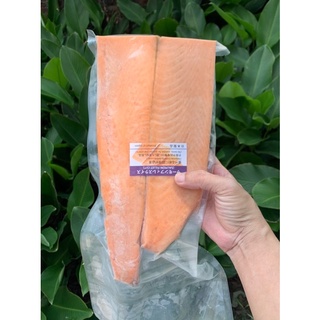NẠC CÁ HỒI NAUY