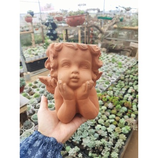 Chậu thiên thần đất nung