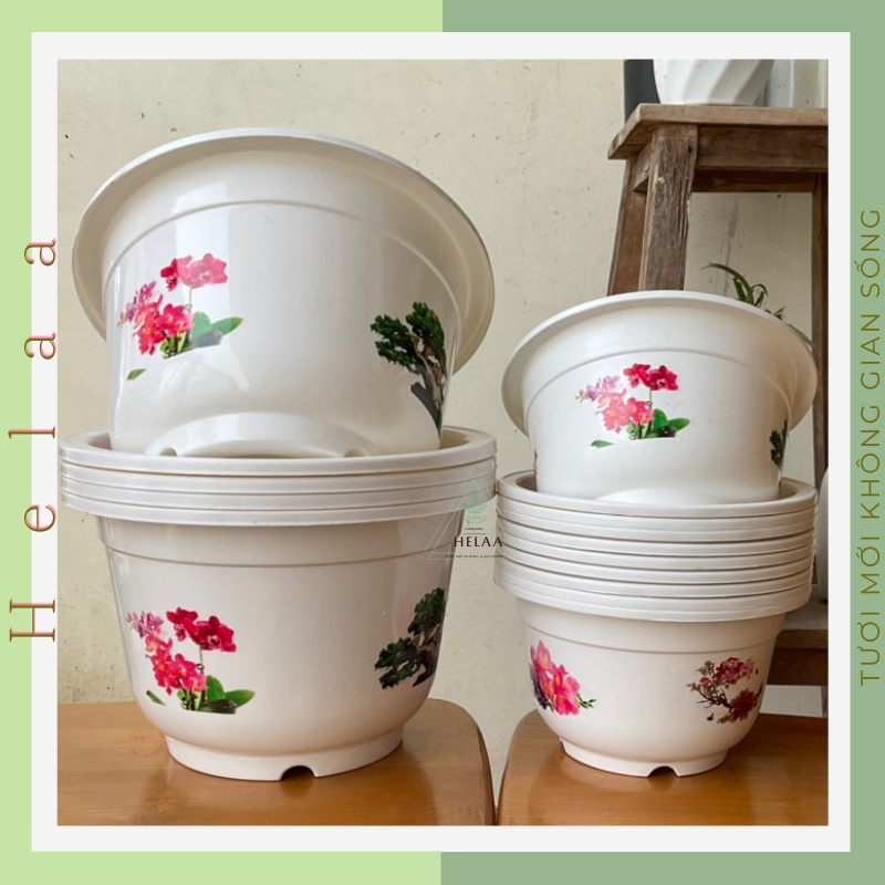 Combo 5 Chậu Trồng Cây Có Hình 4 Mùa, Chậu Hoa Nhựa In Hình, Trồng Hoa, BonSai, Tiểu Cảnh, Mẫu Mới - Hiện Đại 2 Size