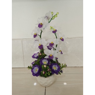 Chậu hoa lan cao 40cm ngang 20cm