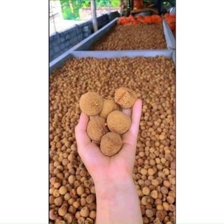Bịch 1kg vải thiều sấy khô đặc sản lục ngạn bắc giang loại ngon hảo hạng
