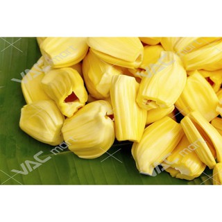 Cây mít thái siêu sớm giống chuẩn