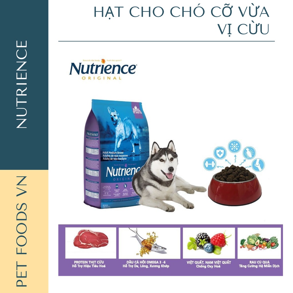 Hạt cho chó cỡ vừa NUTRIENCE Original Medium Breed 500g vị Cừu