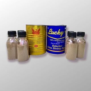 Artemia mỹ chính hãng osi