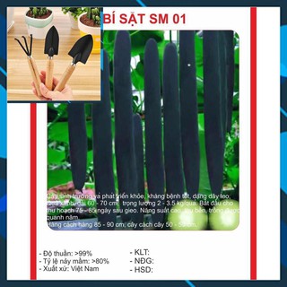 Hạt giống bí sặt 2gram tặng bộ làm vươn mini