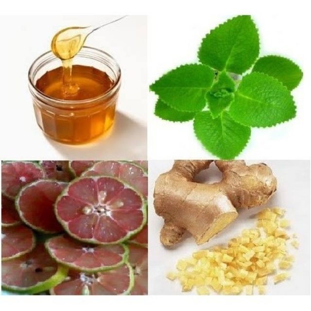 Hói 50 Hạt giống Rau Thơm Lùn  luckyseed hạt siêu rẻ
