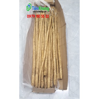 Củ ngưu báng nhật tươi loại 1 - loại