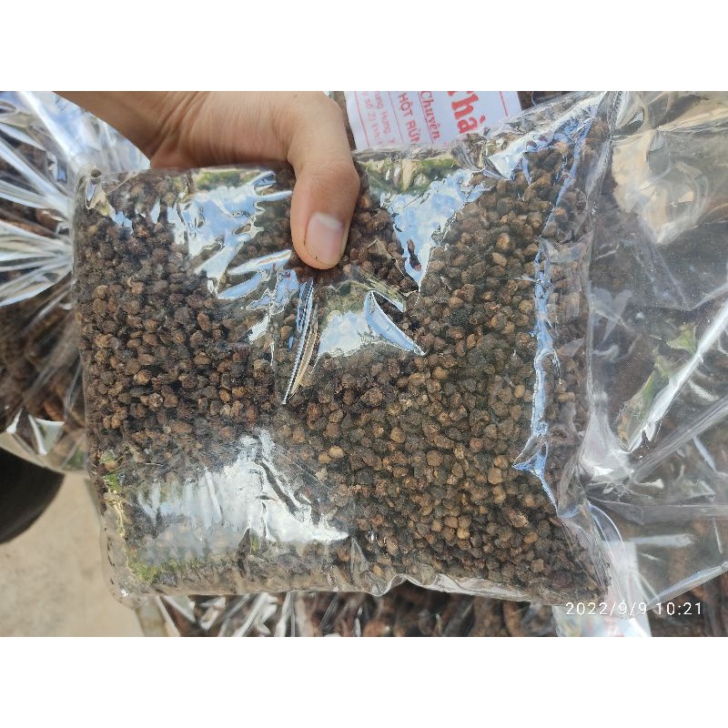 ☑️1Kg Hạt chuối đã xàng xảy sạch sẽ