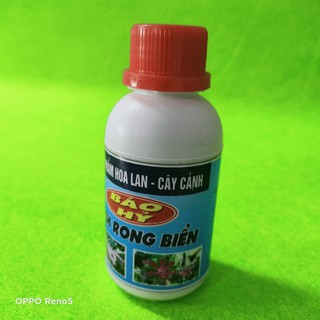 DỊCH RONG BIỂN - BÁO HỶ 100ml