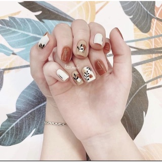 Nail box, móng tay giả thiết kế theo số đo siêu đẹp và rẻ