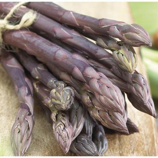 HẠT GIỐNG MĂNG TÂY TÍM