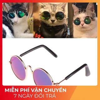 Kính thú cưng Giá tốt nhất