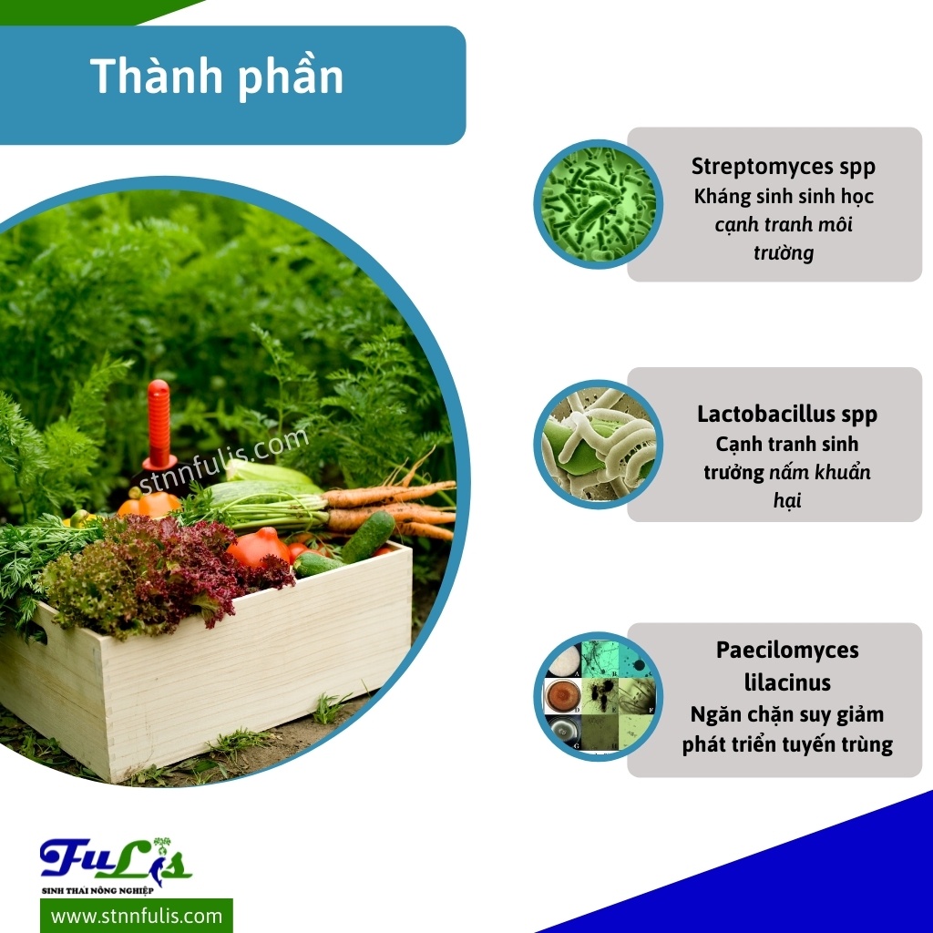 Chế Phẩm Sinh Học Phòng Nấm Rễ, Khuẩn Đất CỨU CÂY Cho Hoa Lan, Hồng, Cây Ăn Quả, Rau Màu Chính Hãng Giá Rẻ - stnnfulis