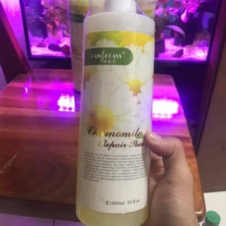 Nước hoa hồng ( trong bộ hoa cúc)