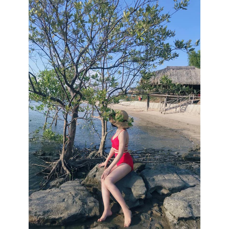 Bikini 2 mảnh bèo gấu