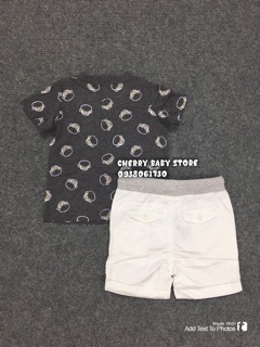 Set áo và quần kaki Koalakids
