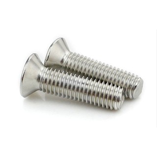 Bộ vít Inox đầu bằng M2(phukien303 xả hàng-có hàng sẵn)