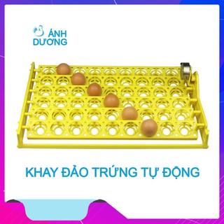 Khay đảo trứng tự động 54 quả làm từ nhựa ABS - Tự đảo trứng mỗi 2 giờ