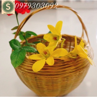 Giỏ Đựng Đồ, Hành Tỏi, Giỏ Xách Bằng Tre Cật, Hàng Đẹp