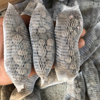 Phân dê túi lưới đặt gốc lan
