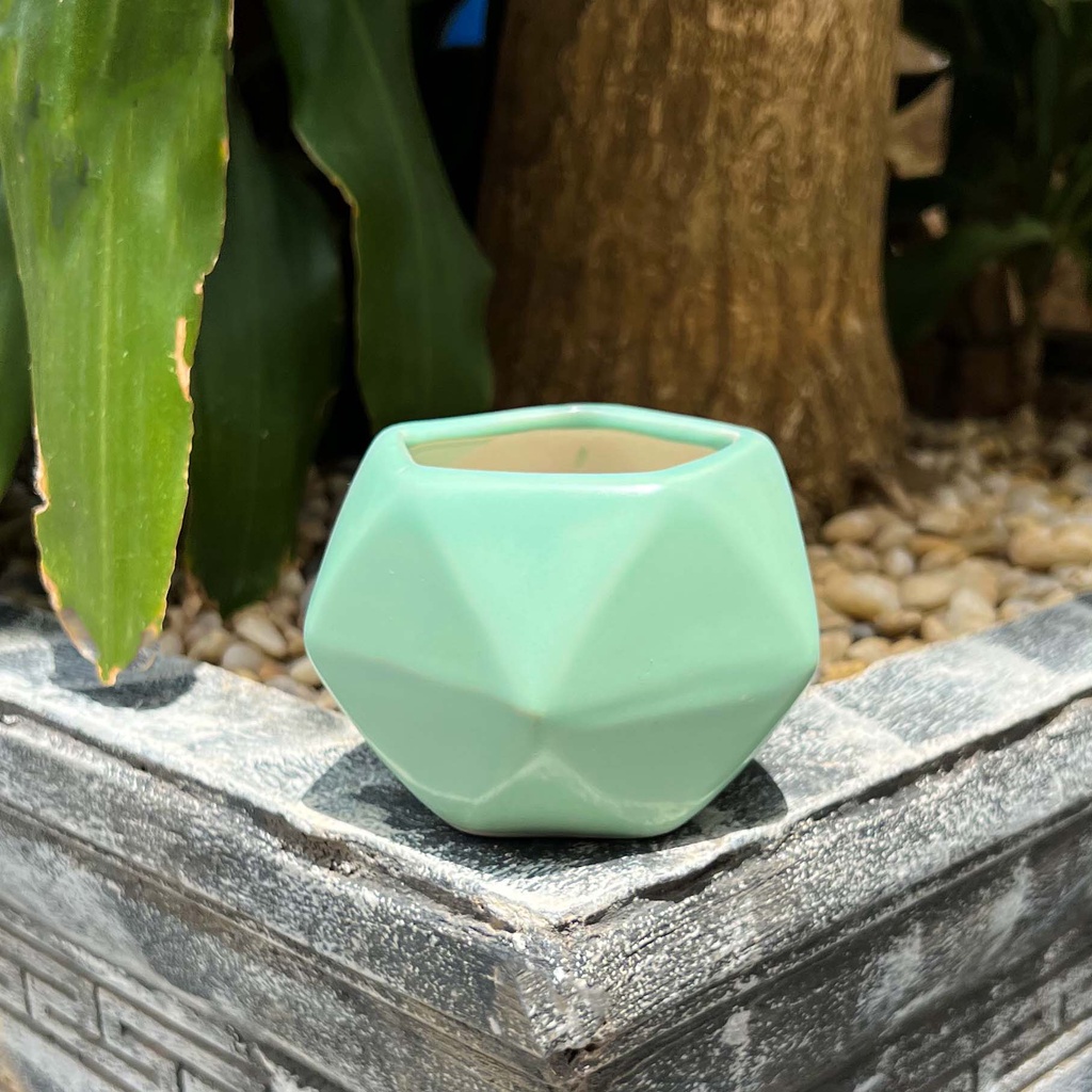 Chậu sứ mini Bát Tràng - Trồng sen đá, xương rồng để bàn xinh xắn - Màu trắng