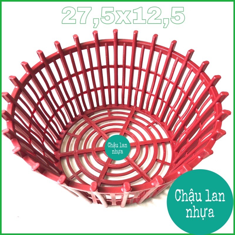 Chậu nhựa trồng lan