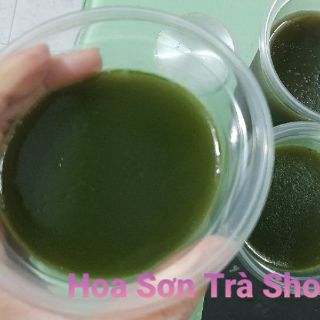 (Hỏa tốc) Cây SƯƠNG SÂM LÔNG, cây con, rễ khỏe.