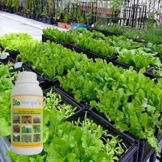Dịch trùn quế hữu cơ Bio chai 500ml