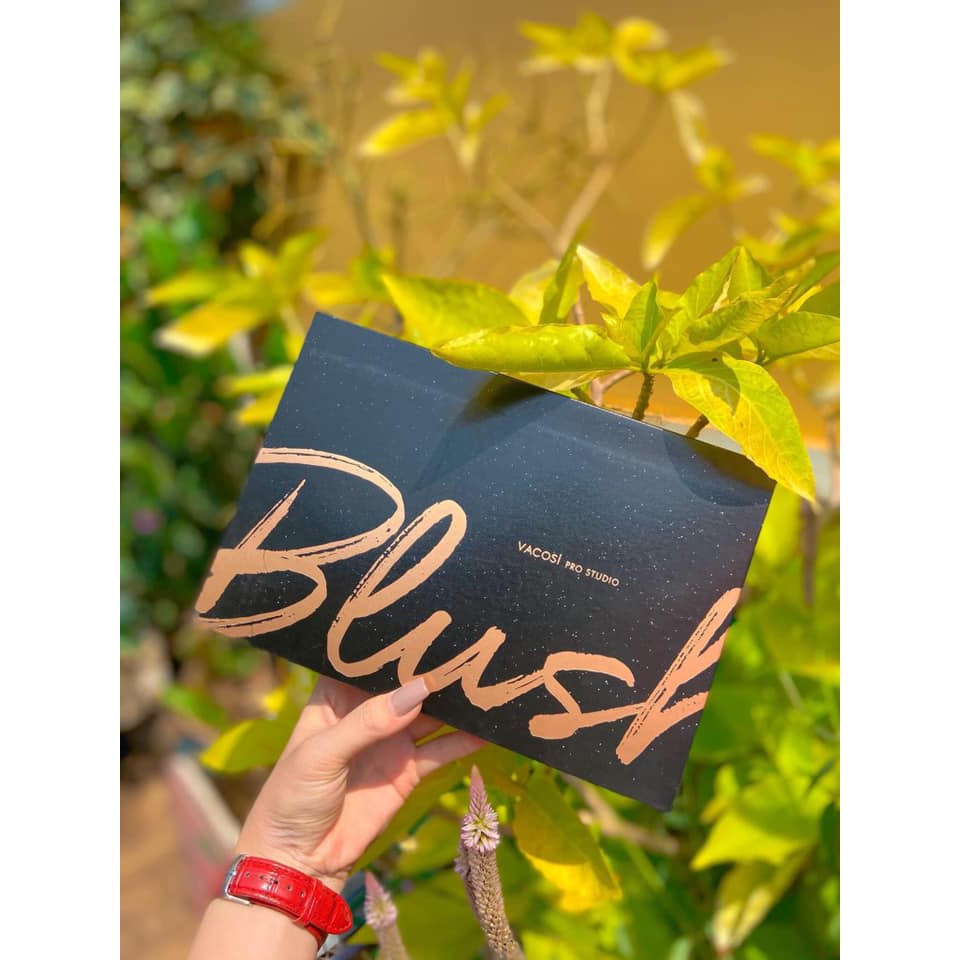 [CHÍNH HÃNG] BẢNG MÁ HỒNG CHUYÊN NGHIỆP 12 Ô BLUSH VACOSI | BigBuy360 - bigbuy360.vn