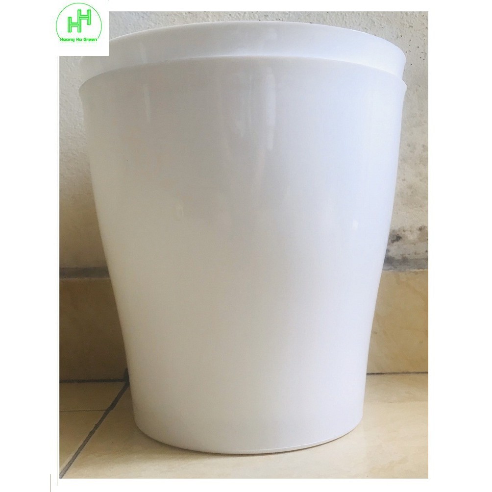 2 Chậu Nhựa CDT Plastic TD 250 Sản Xuất Tại Việt Nam