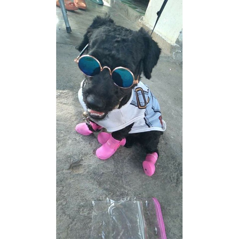 Giày đi mưa cute thời trang cho CHÓ MÈO