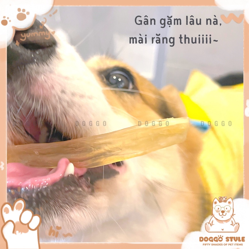 Treat Bánh Thưởng Cho Chó Gân Bò Sấy Khô DOGGOSTYLE Homemade Không Chất Bảo Quản 100G Thức Ăn Cho Chó Thú Cưng